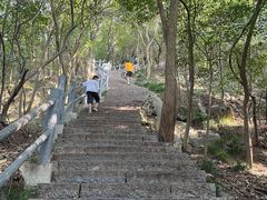 -紫金山山顶公园