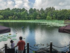 -上海怡沁园度假酒店