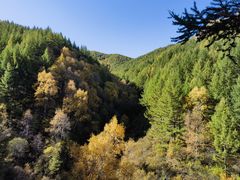 -苏木山森林公园