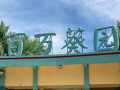 -百万葵园