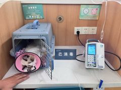 -联合动物医院(光谷诊疗中心)
