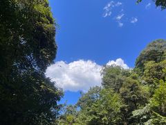 -龙苍沟森林公园