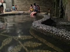 -陆地游轮吉林神农温泉