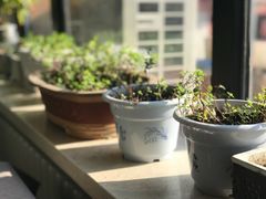 -HIGH FIVE哈福手工汉堡(桂林路店)