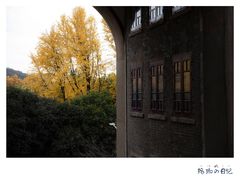 -武汉大学-樱园