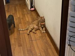 -萌兽医馆·眼科·异宠专科(三里屯店)