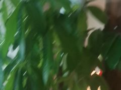 -Y60-SKYLINE天际江景酒店(五一广场店)