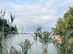 -上海吴淞炮台湾国家湿地公园