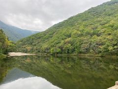 -龙道沟景区