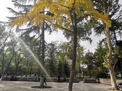 -莲湖公园