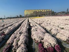 -中国天府农业博览园