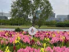 -春花秋色城市公园