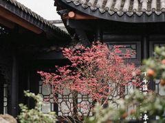 -成都杜甫草堂博物馆