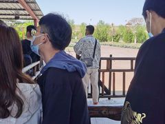 -太阳部落