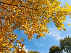 -辽宁大学(崇山校区)