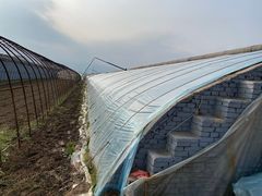 -田趣农庄草莓采摘园