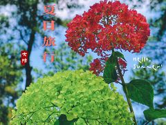 -临平公园(临平街道)