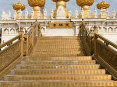 -上海东林寺(金山区)