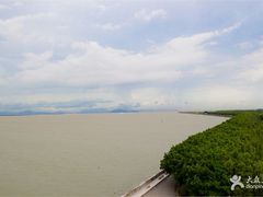 -大湾区中央湿地公园