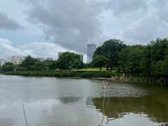 -深圳龙潭公园