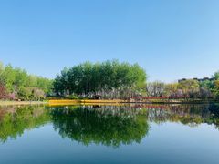 -仁和公园(顺义区)