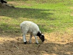 -秦皇岛野生动物园