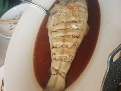 -金狮麟·新豫菜(金码大厦店)