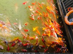 -泰安地下龙宫景区