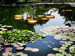 -国家植物园南园