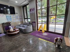 -宠爱国际动物医院·消化内科·心肾内科·ISFM猫友好(望京店)