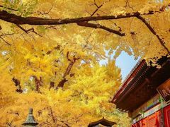 -红螺寺