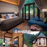 住不腻的树屋酒店