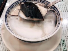 椰汁龟苓膏-仁信老铺(华盖路店)