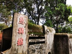 -昆明动物园