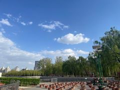 -莲花池公园