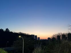 点击看大图 -YESIDO椰岛造型