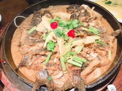 -老板恋上鱼(荣盛广场店)