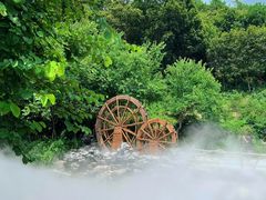 -广州市流溪河国家森林公园