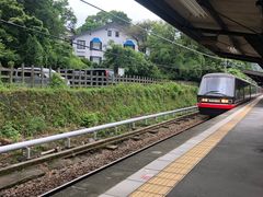 -伊豆观海列车