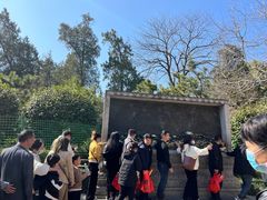 -南岳衡山风景名胜区-南岳大庙