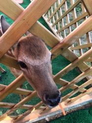 -萌宠亲子动物乐园(槐房万达店)