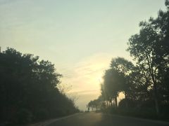 -羊山湖公园