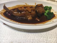 河豚-隆聚时令海鲜(一舟店)