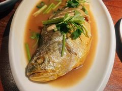 -前海沿·青岛菜(大拇指广场石老人店)