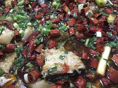 -东吴霸王兔(松青路店)