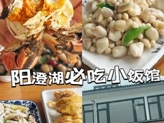 -品鲜村农家菜·阳澄湖大闸蟹(总店)