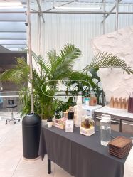 -BOF HAIR BY HONTO
