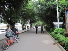 -大湾区中央湿地公园