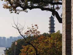 -江心屿景区