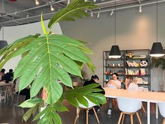 大堂-dotcom coffee古点咖啡(致真大厦店)
